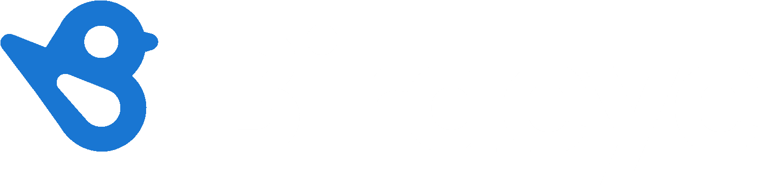 Birdeye